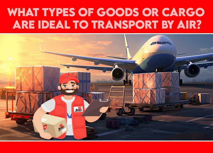 Read more about the article What types of Goods or Cargo are Ideal to Transport by Air?